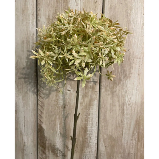 Green And Beige Allium Makur Interior