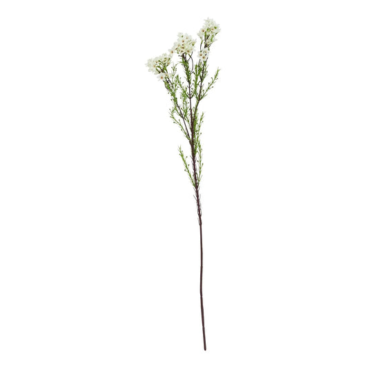 The Natural Garden Collection White Waxflower Makur Interior