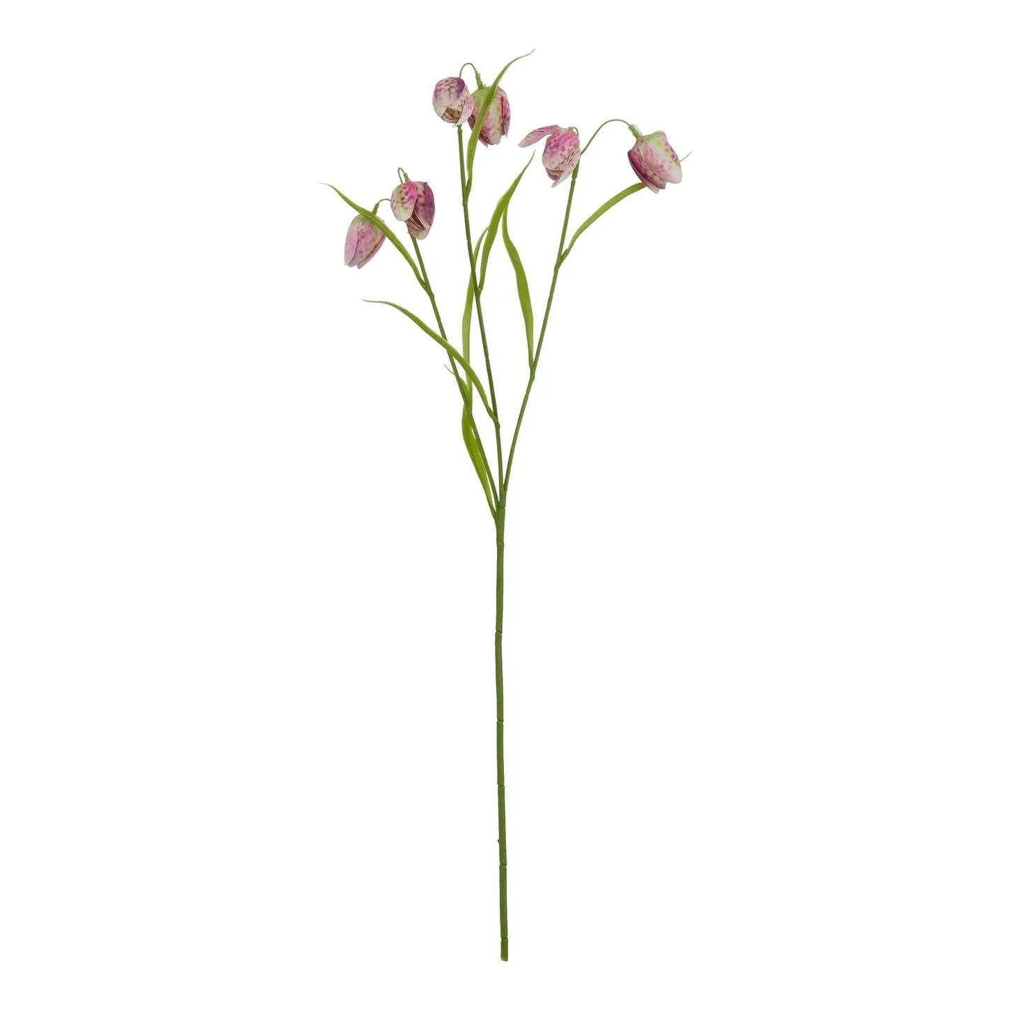 The Natural Garden Collection Purple Fritillaria Stem Makur Interior