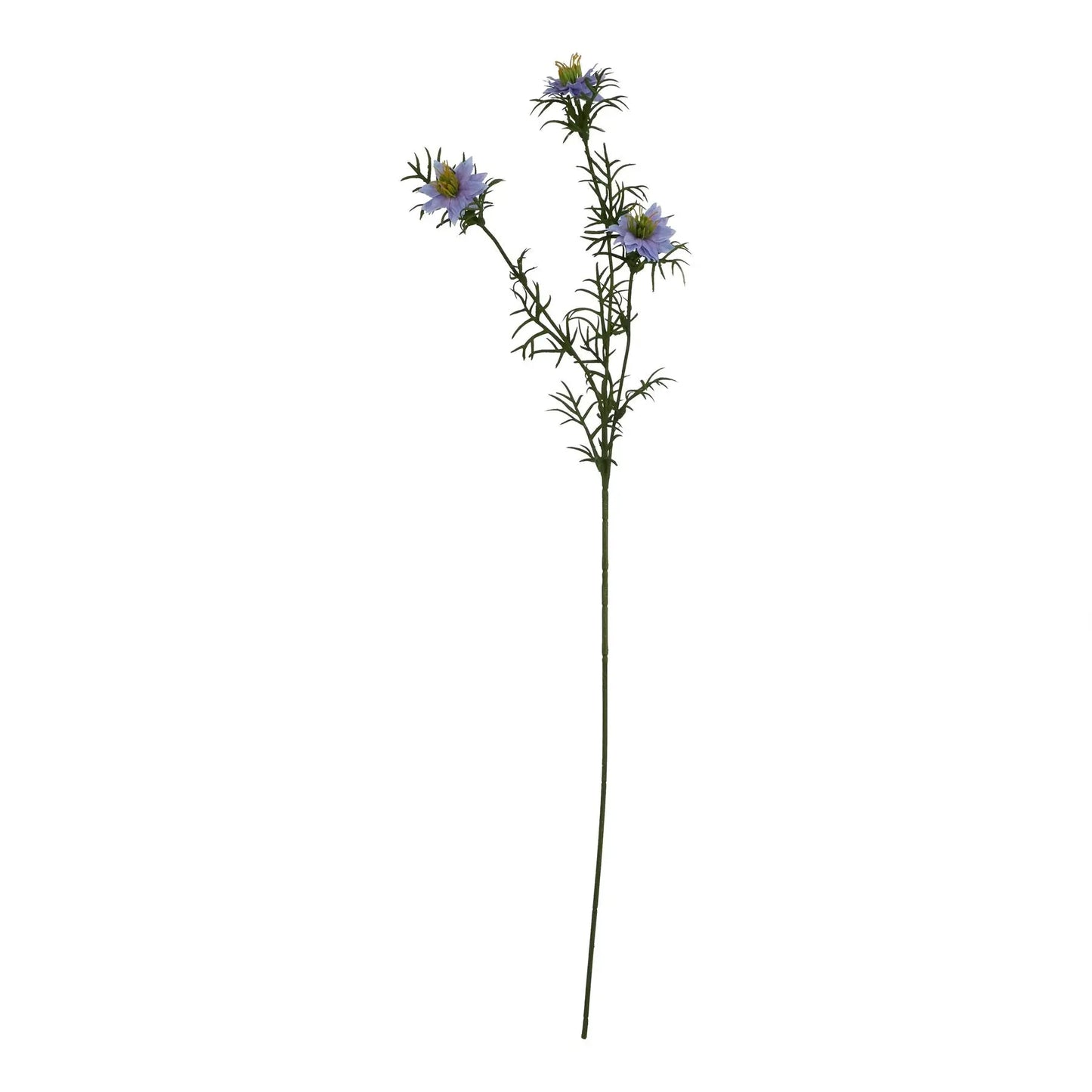 The Natural Garden Collection Purple Nigella Love In A Mist Makur Interior