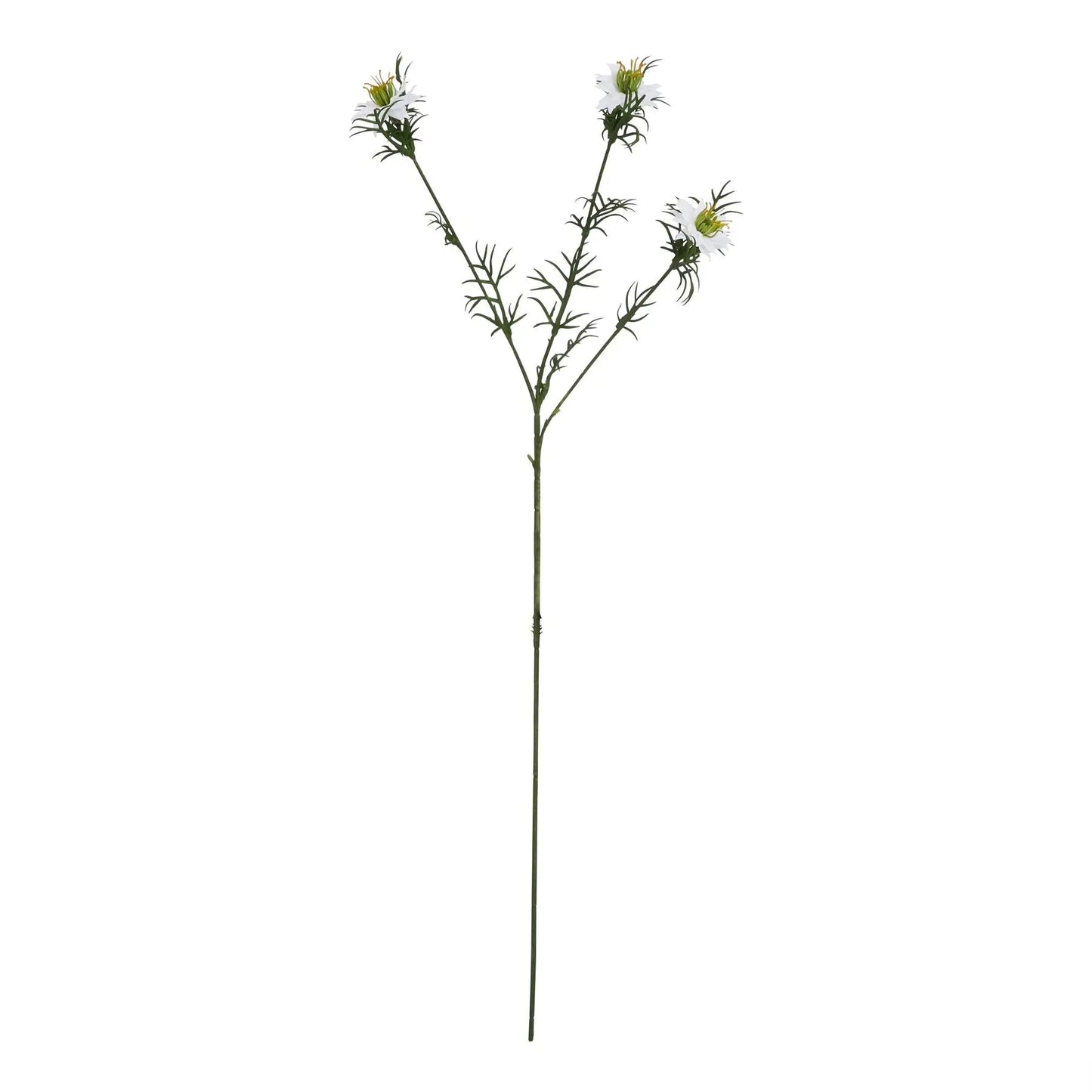 The Natural Garden Collection White Nigella Love In A Mist Makur Interior