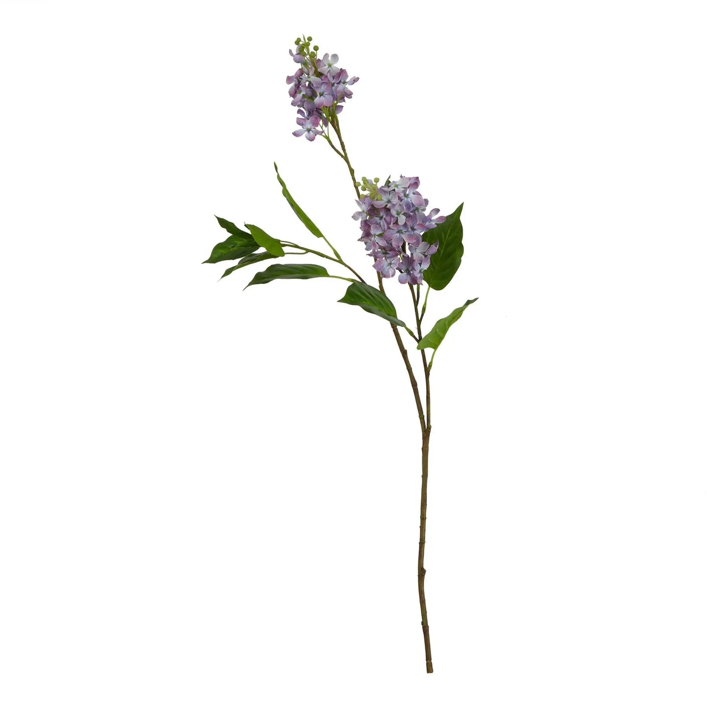 The Natural Garden Collection Purple Lilac Stem Makur Interior