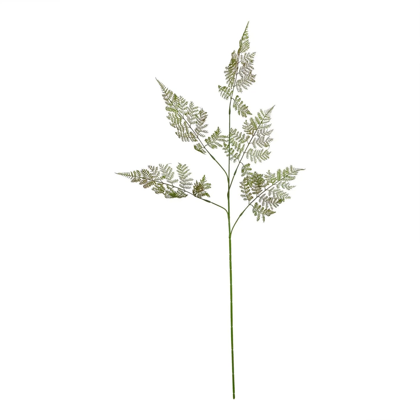 The Natural Garden Collection Large Bracken Fern Spray Makur Interior