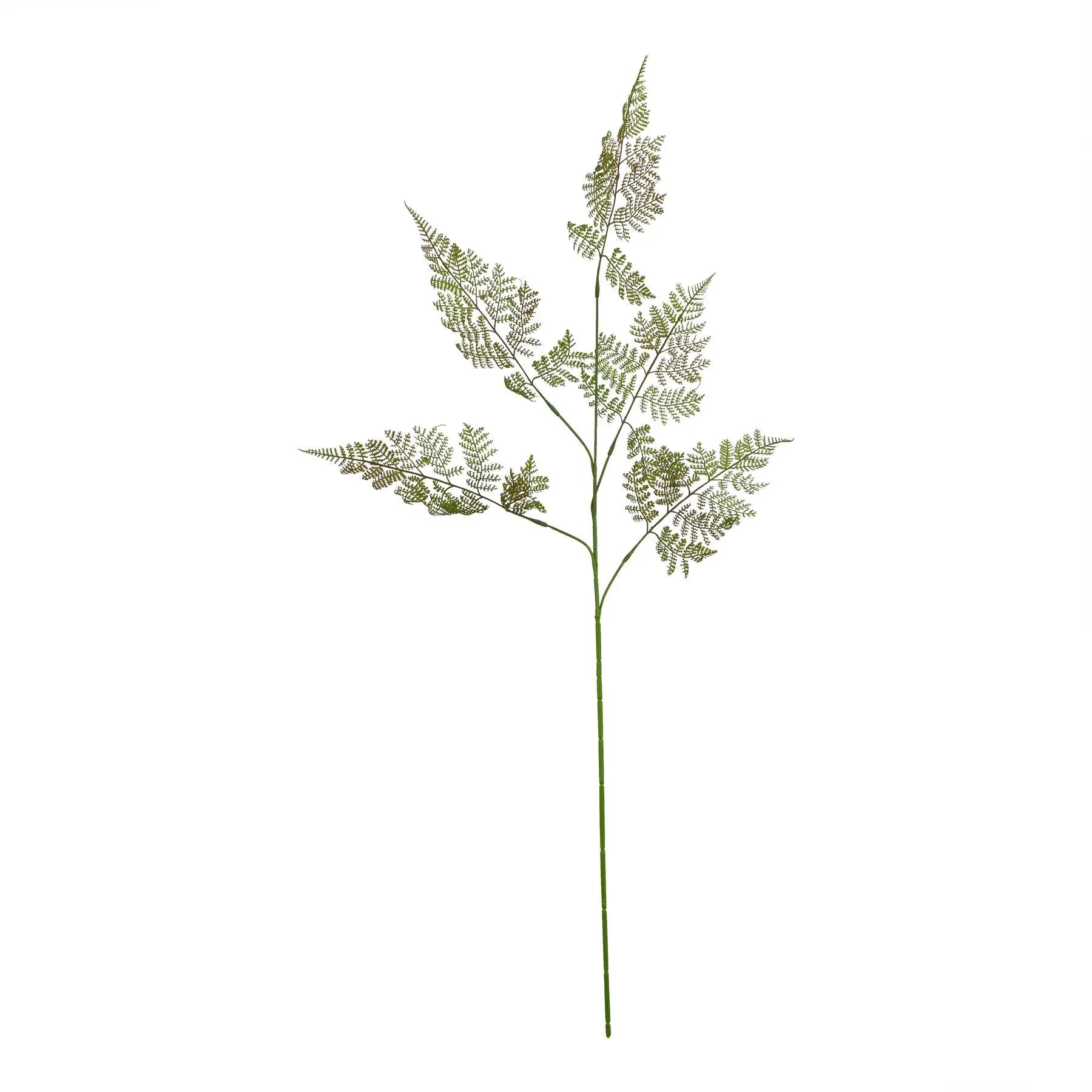 The Natural Garden Collection Large Bracken Fern Spray Makur Interior