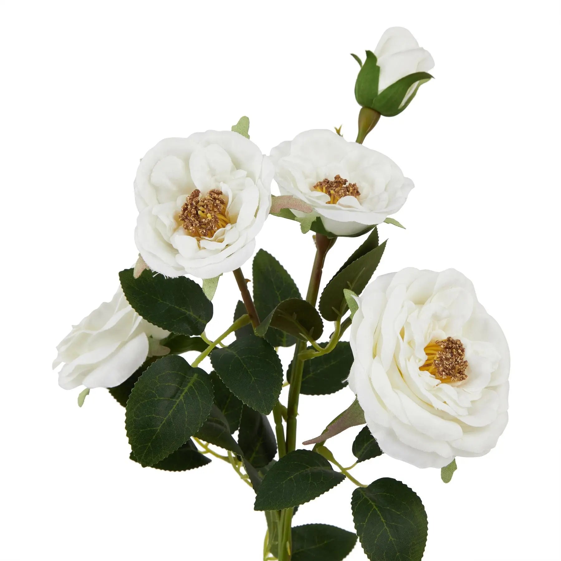 The Natural Garden Collection White Hedge Rose Stem Makur Interior
