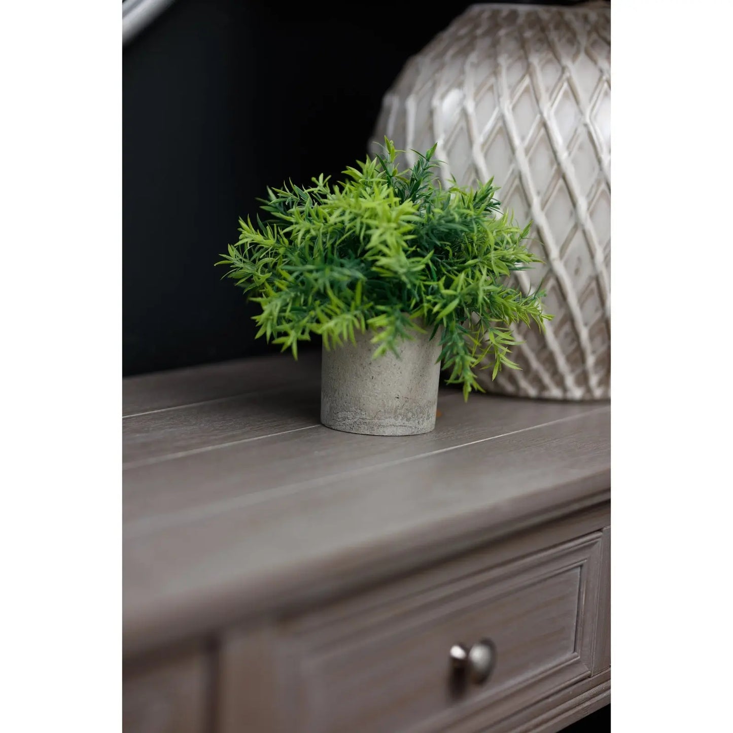 Small Bamboo Plant In Grey Pot Makur Interior