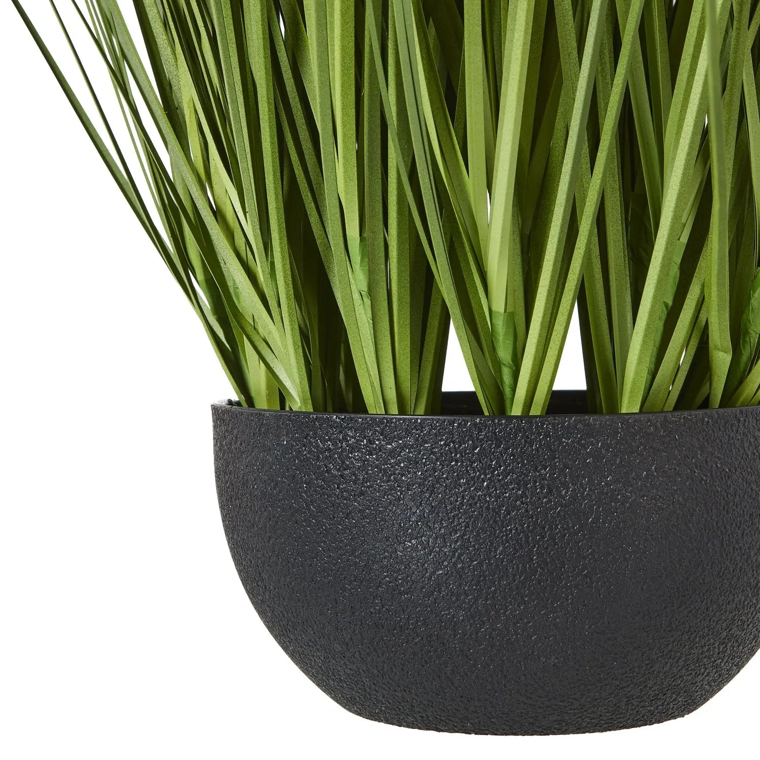 White Allium Plant In Pot Makur Interior