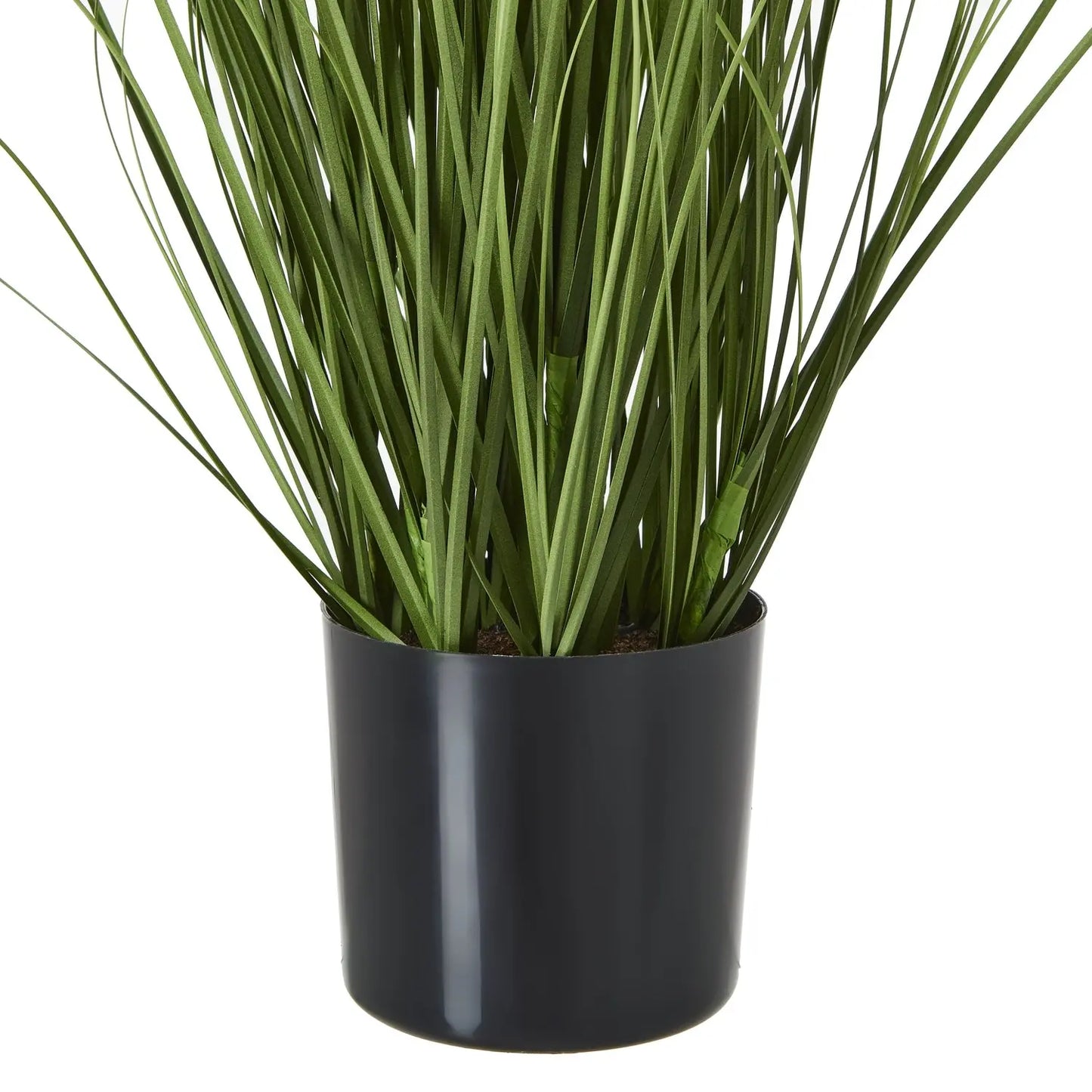 Purple Agapanthus Plant In Pot Makur Interior