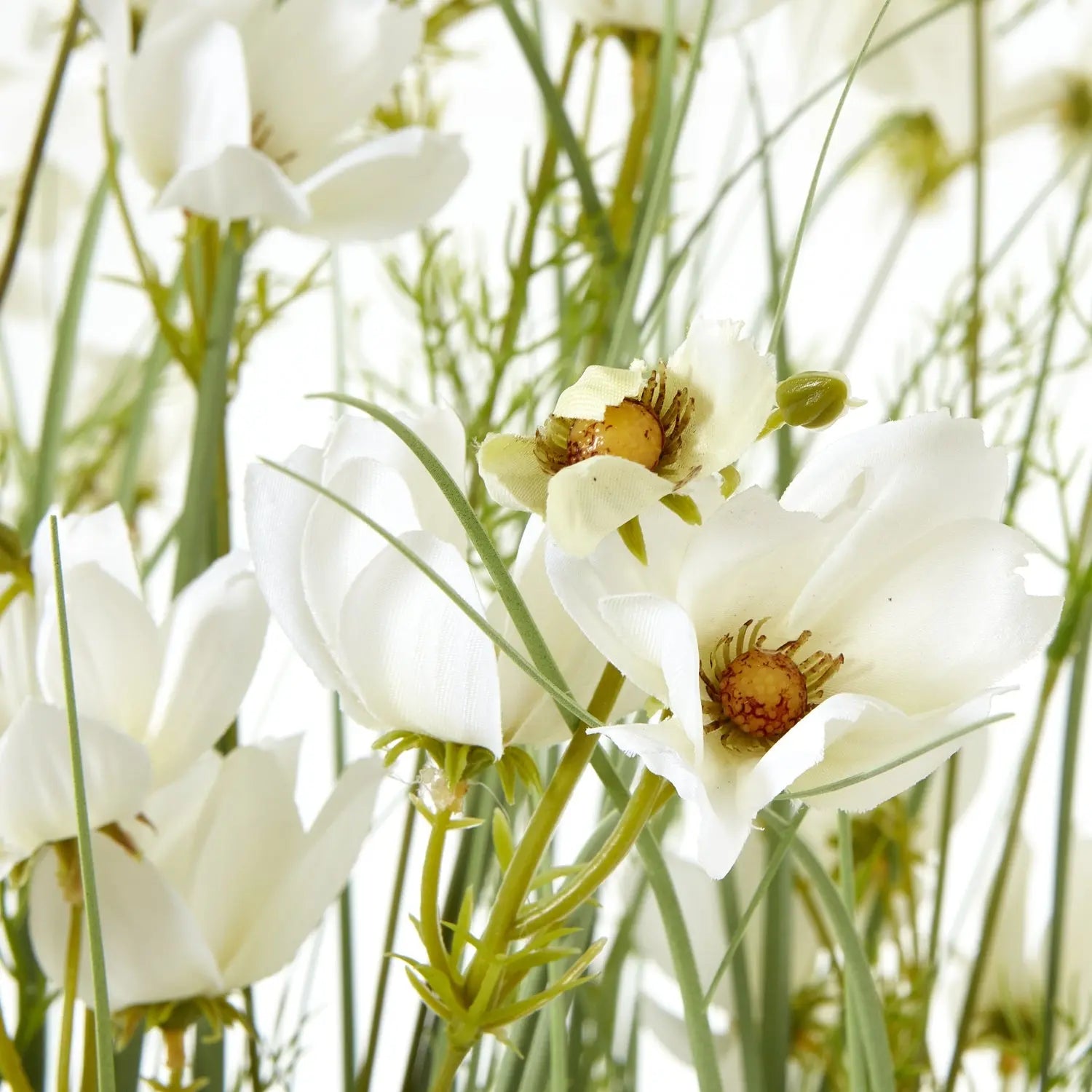 Large White Meadow Plant In Pot Makur Interior