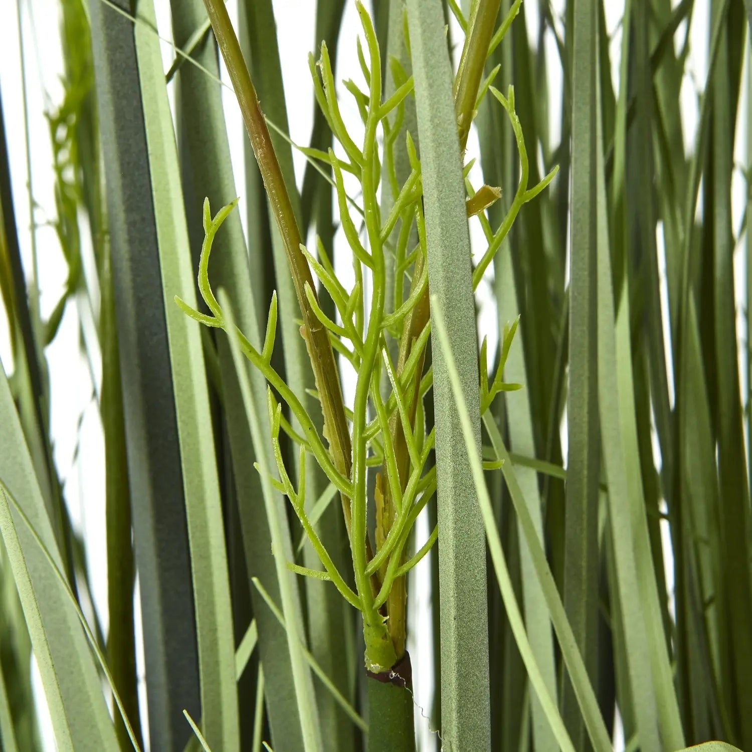 Large White Meadow Plant In Pot Makur Interior
