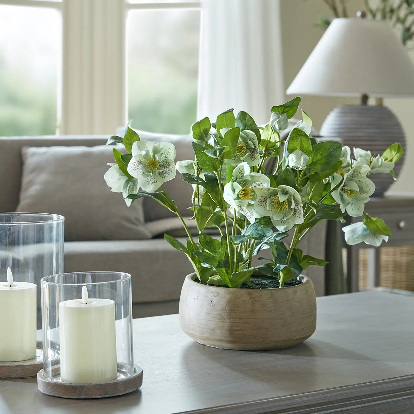 Medium Green Hydrangea Plant In Pot Makur Interior