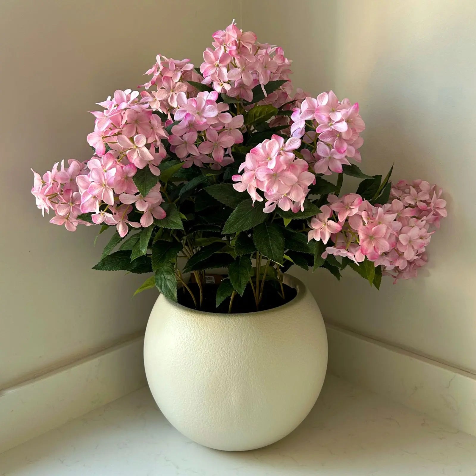 Large Pink Hydrangea Plant In Pot Makur Interior