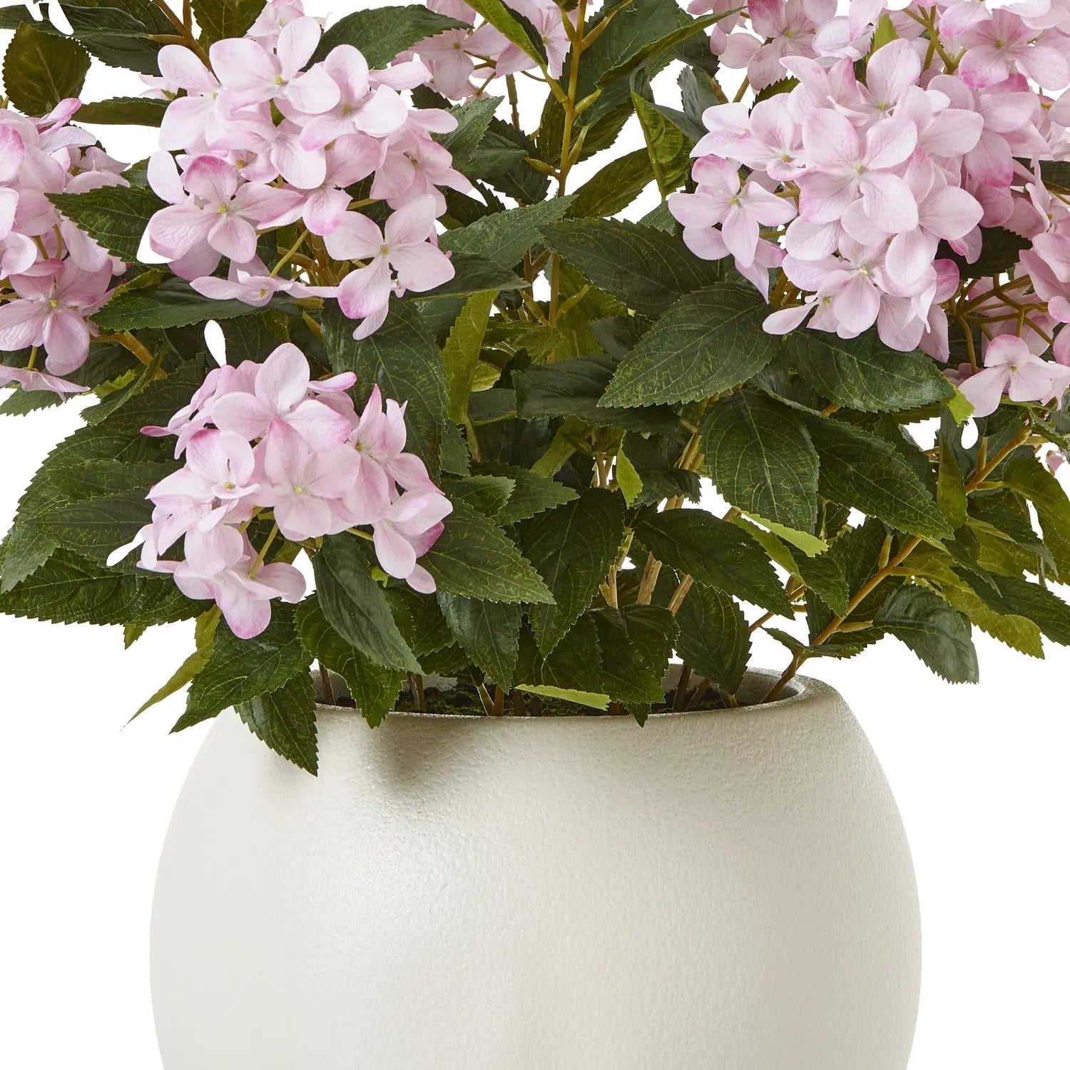 Large Pink Hydrangea Plant In Pot Makur Interior