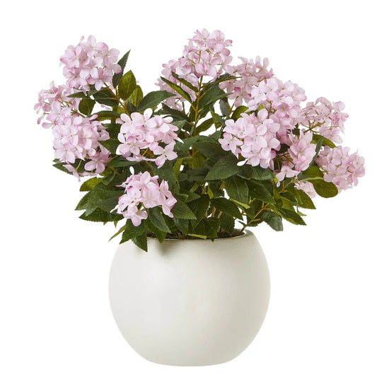 Large Pink Hydrangea Plant In Pot Makur Interior
