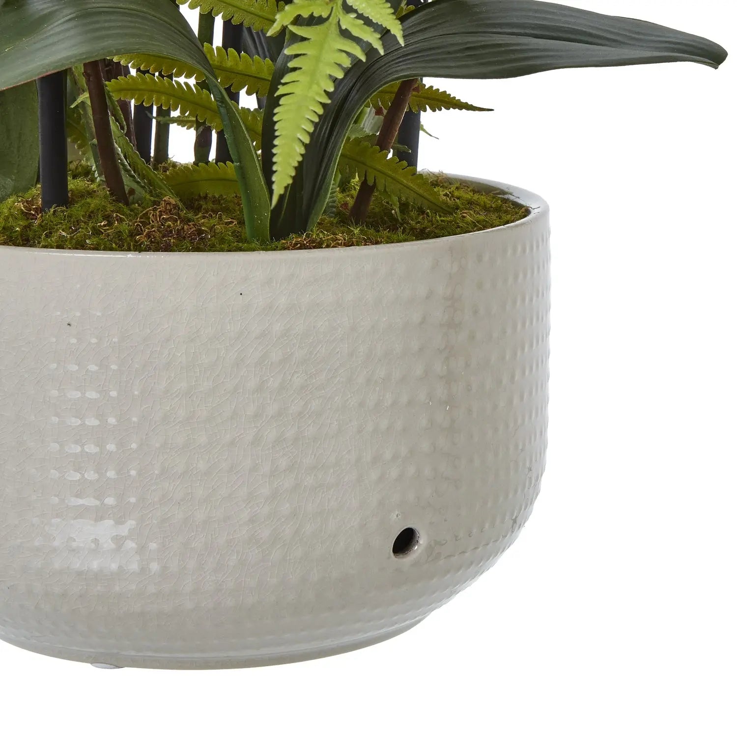 Large White Orchid In Ceramic Pot Makur Interior