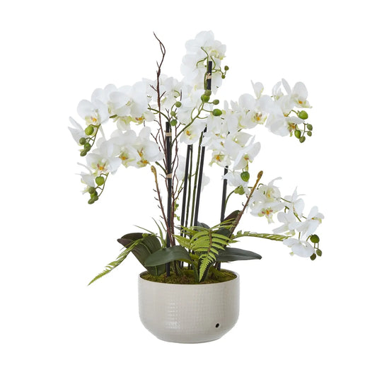 Large White Orchid In Ceramic Pot Makur Interior