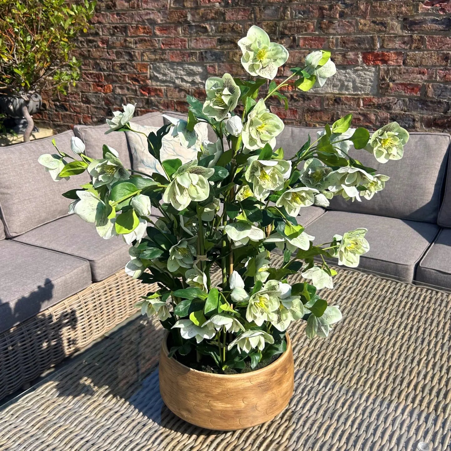 Large Green Hellebore in Taupe Pot Makur Interior