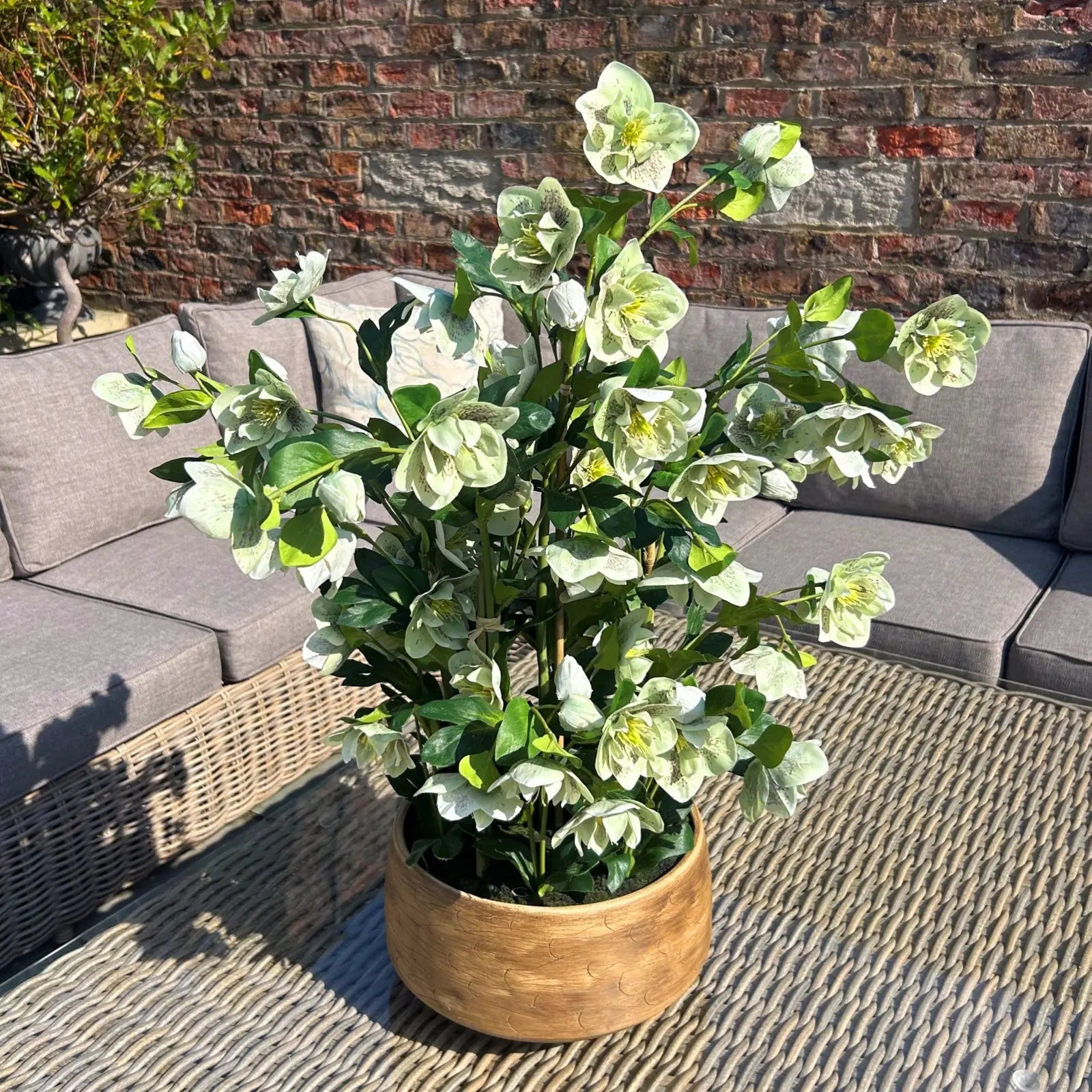 Large Green Hellebore in Taupe Pot Makur Interior