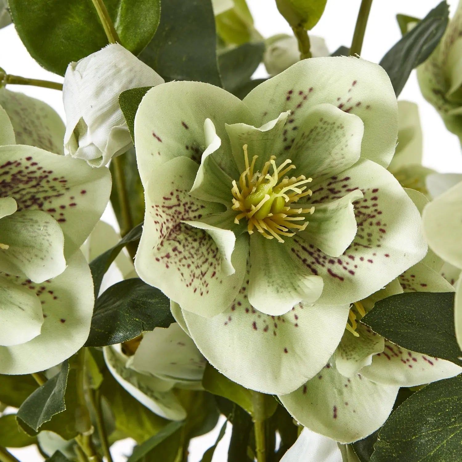 Large Green Hellebore in Taupe Pot Makur Interior
