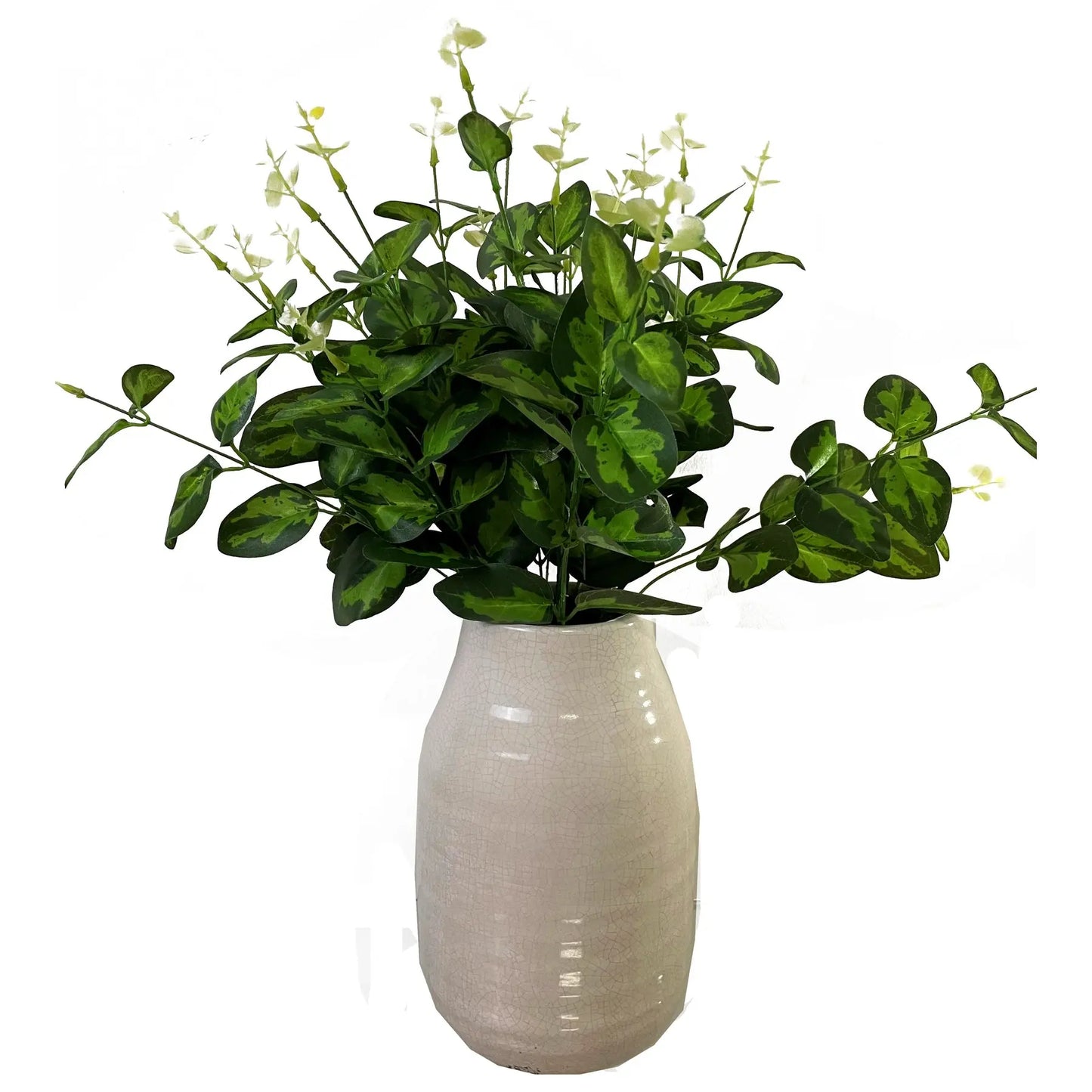 Variegated Leaf Spray Makur Interior