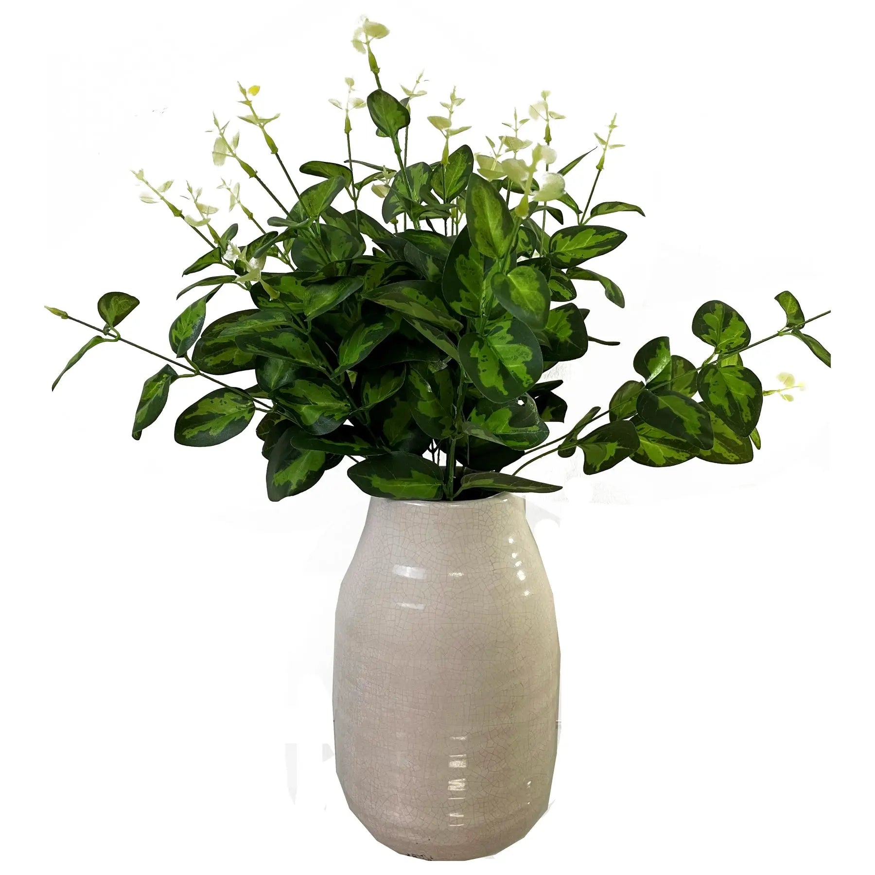 Variegated Leaf Spray Makur Interior