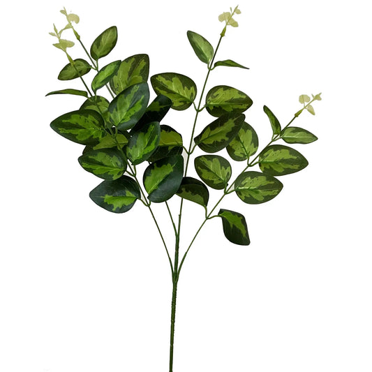 Variegated Leaf Spray Makur Interior