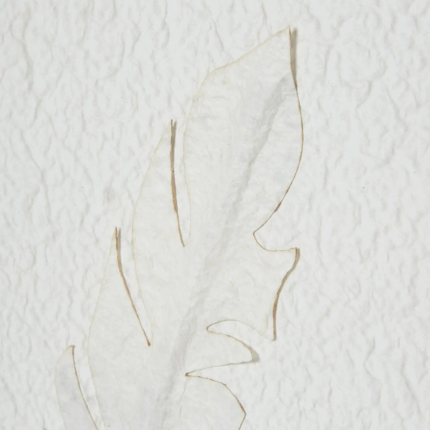 Solli White Feathers Art Mounted In Beaded Frame