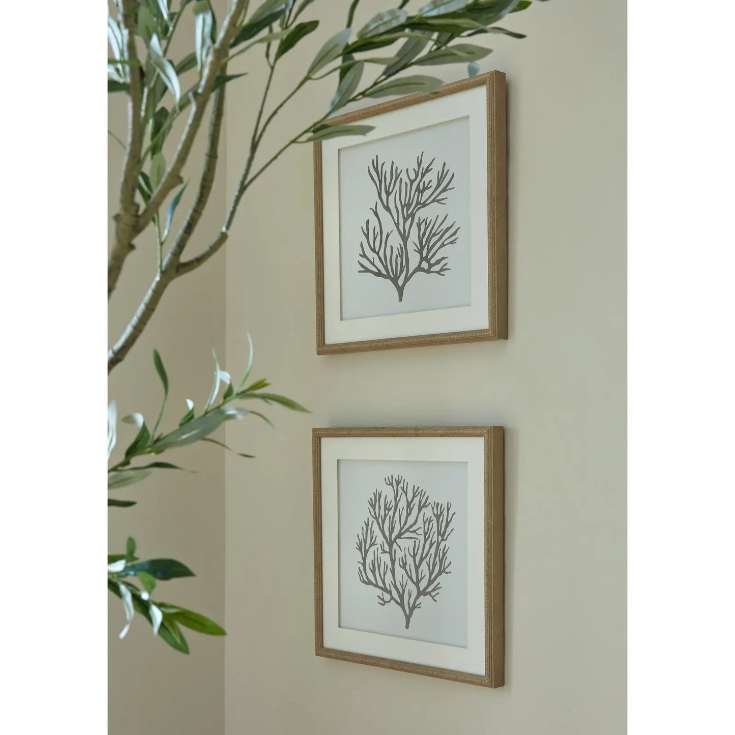Atol Coral Art Mounted In Beaded Frame Makur Interior
