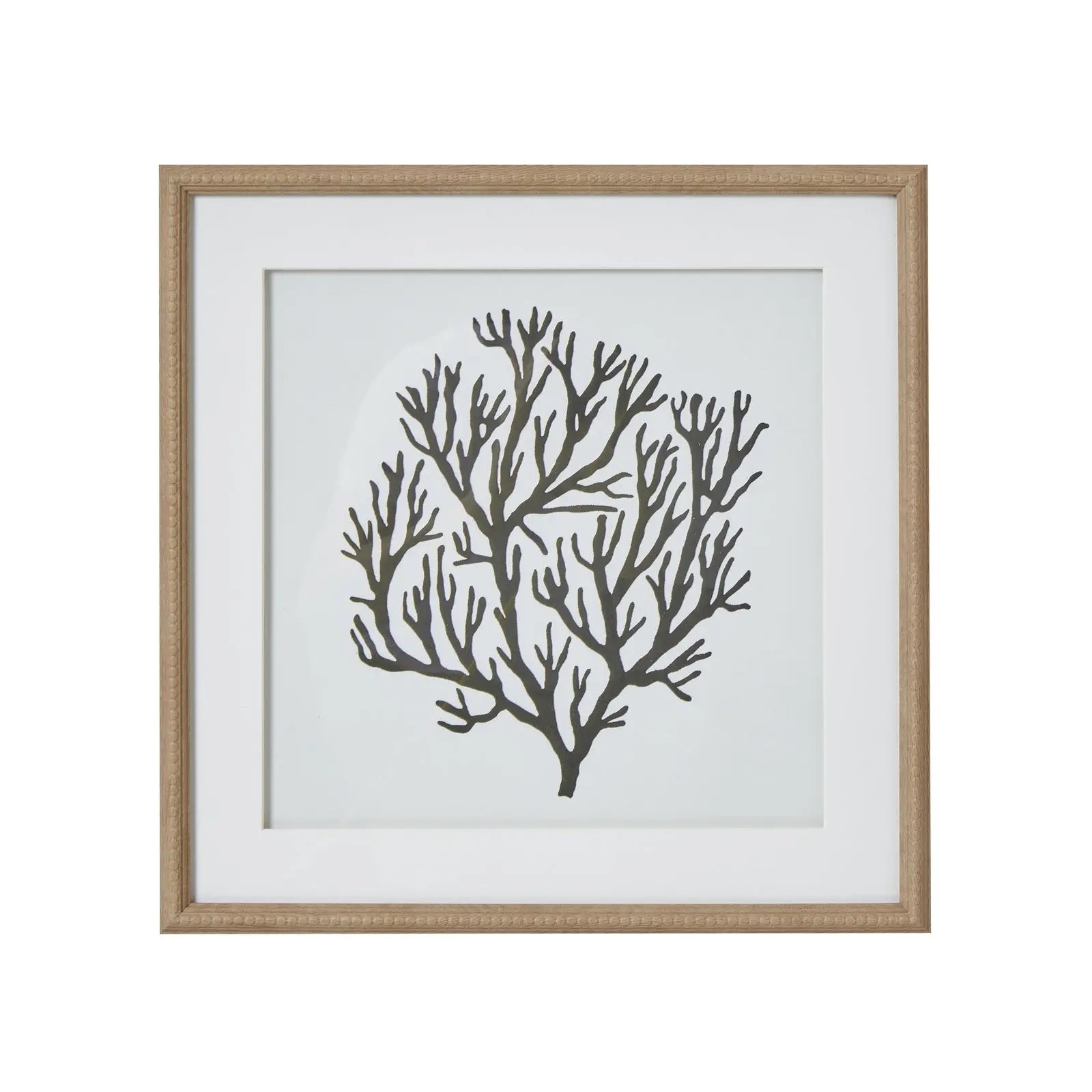 Atol Coral Art Mounted In Beaded Frame Makur Interior