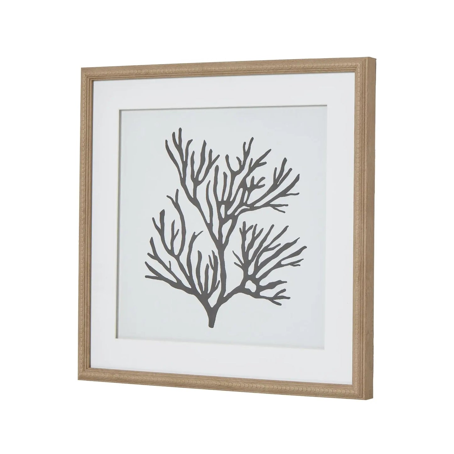 Reef Coral Art Mounted In Beaded Frame Makur Interior