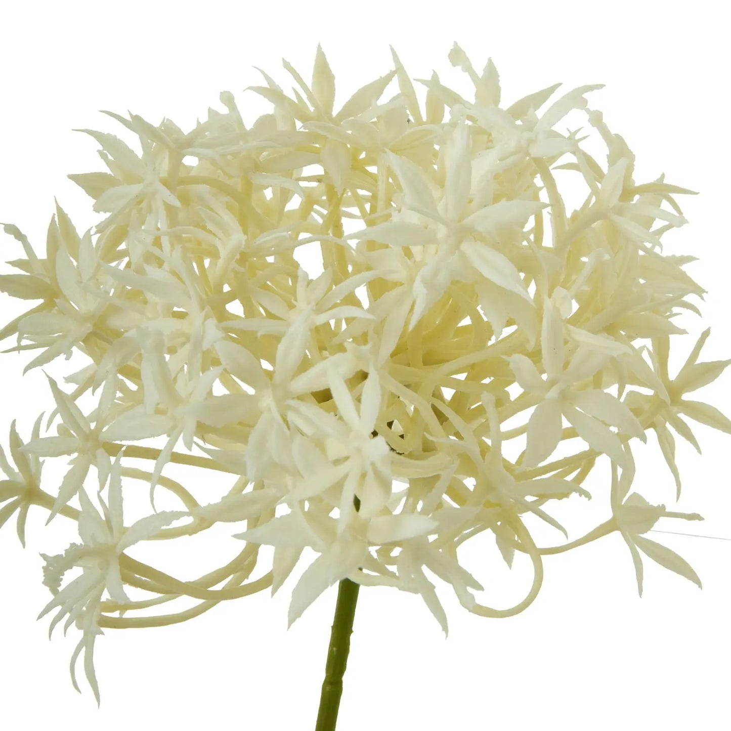 Three Head Cream Allium Spray Makur Interior