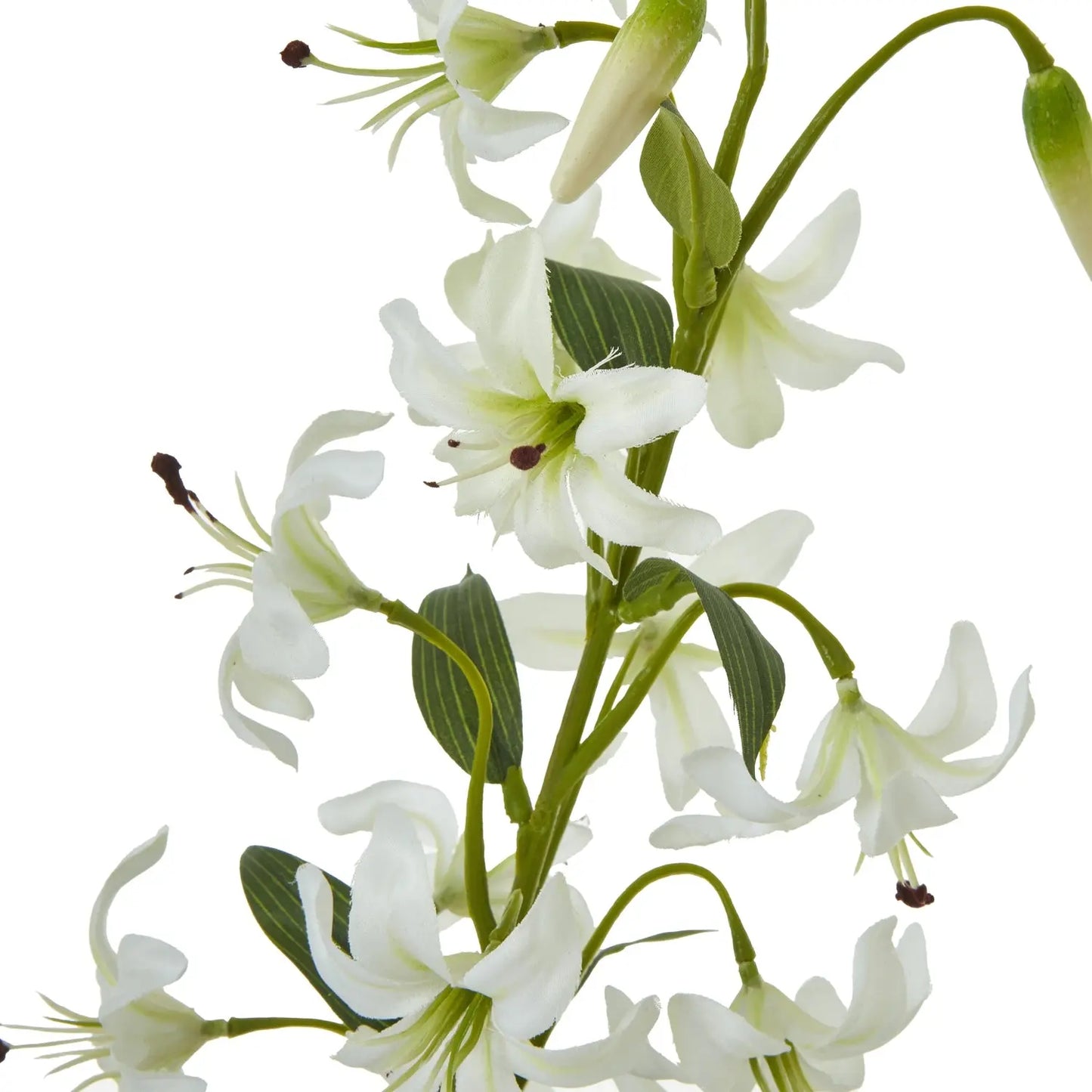Turks Cap Green Lily Spray Makur Interior