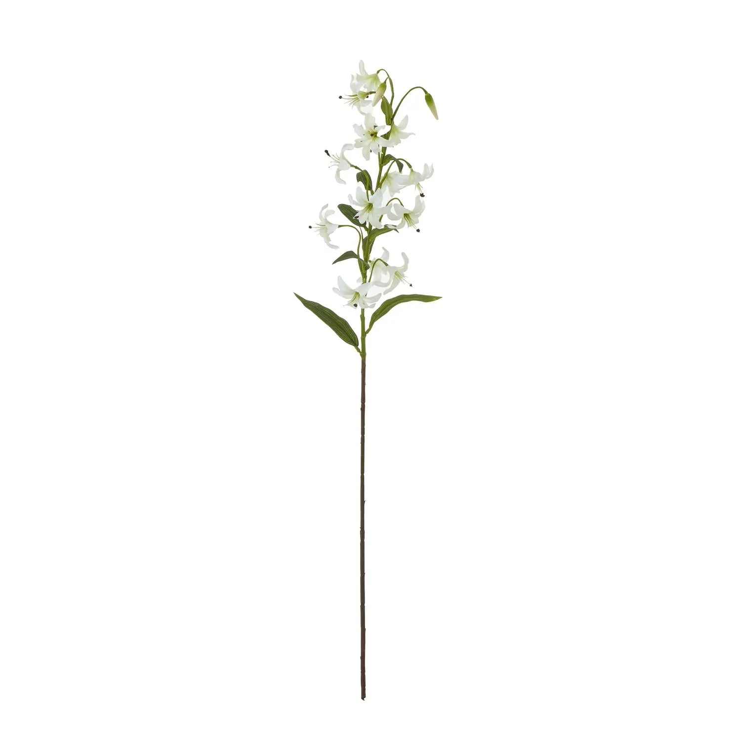 Turks Cap Green Lily Spray Makur Interior