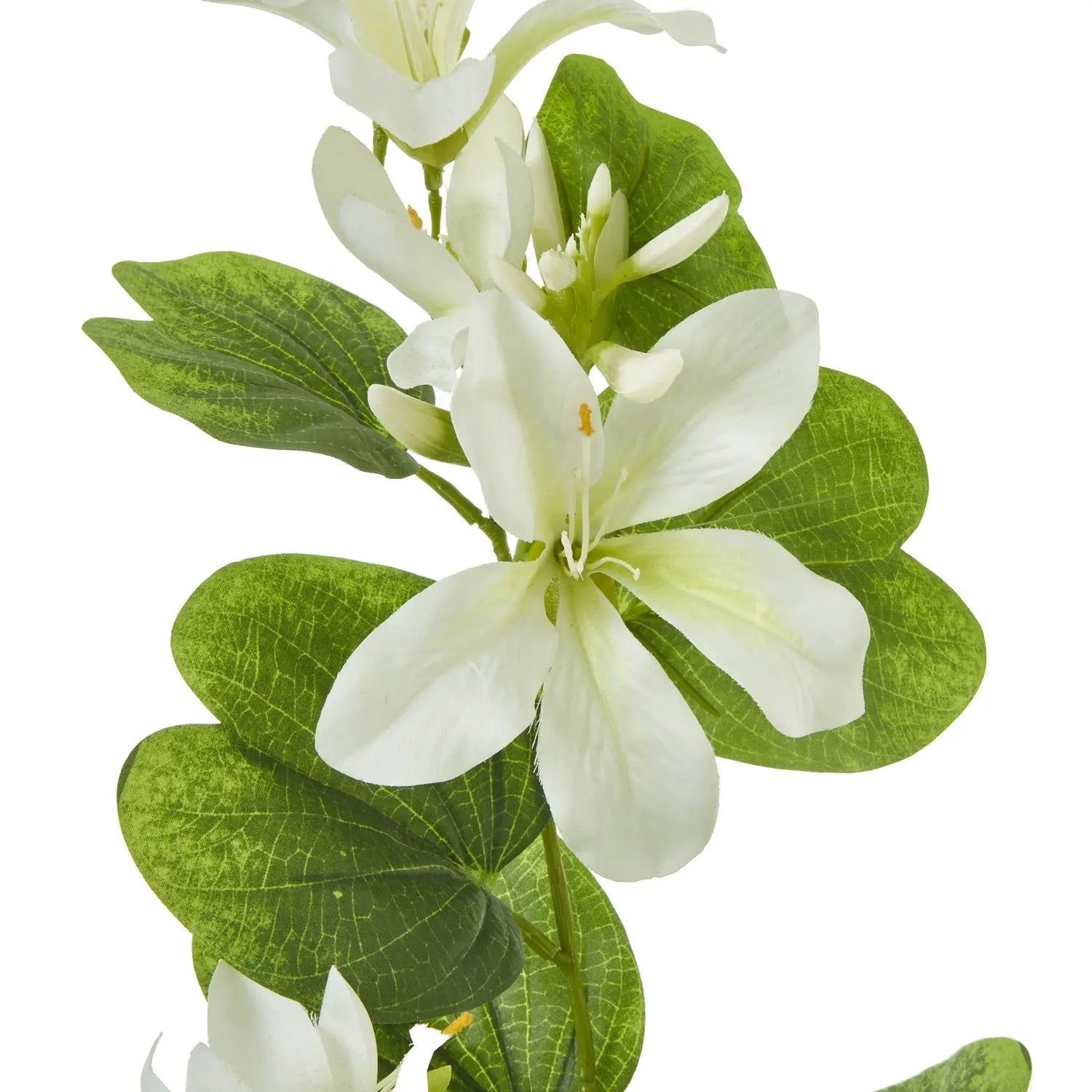 Cream Bauhinia Orchid Spray Makur Interior