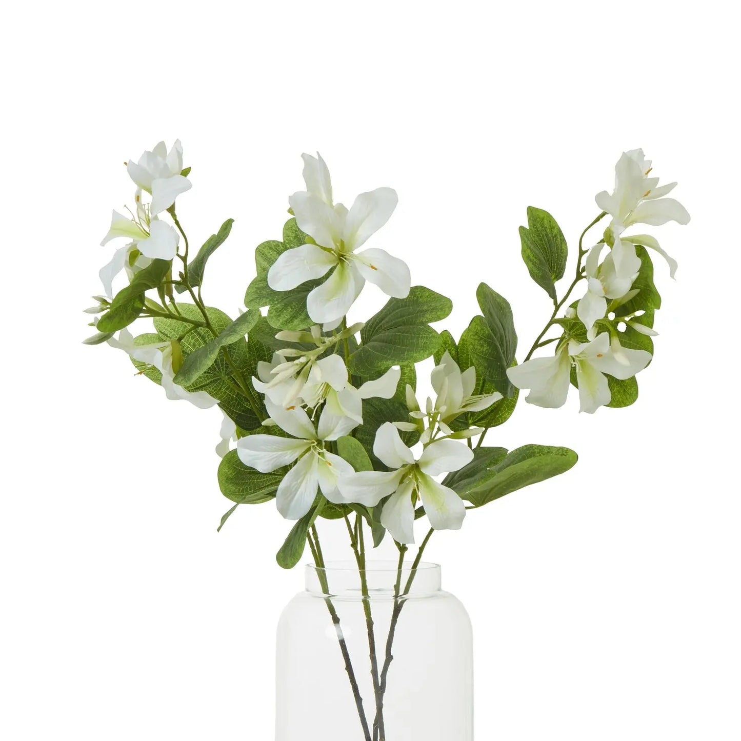 Cream Bauhinia Orchid Spray Makur Interior