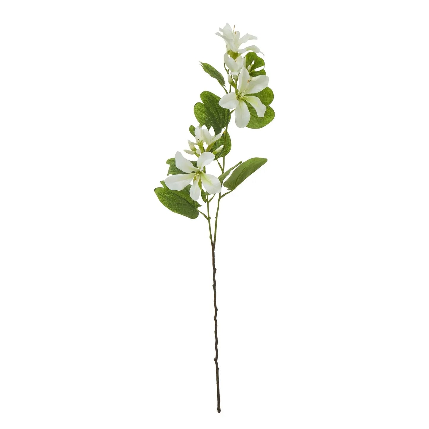 Cream Bauhinia Orchid Spray Makur Interior