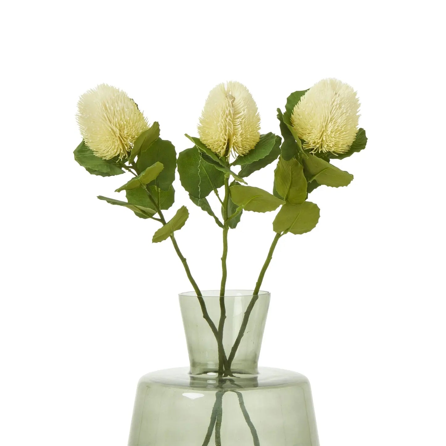 Cream Banksia Stem Makur Interior