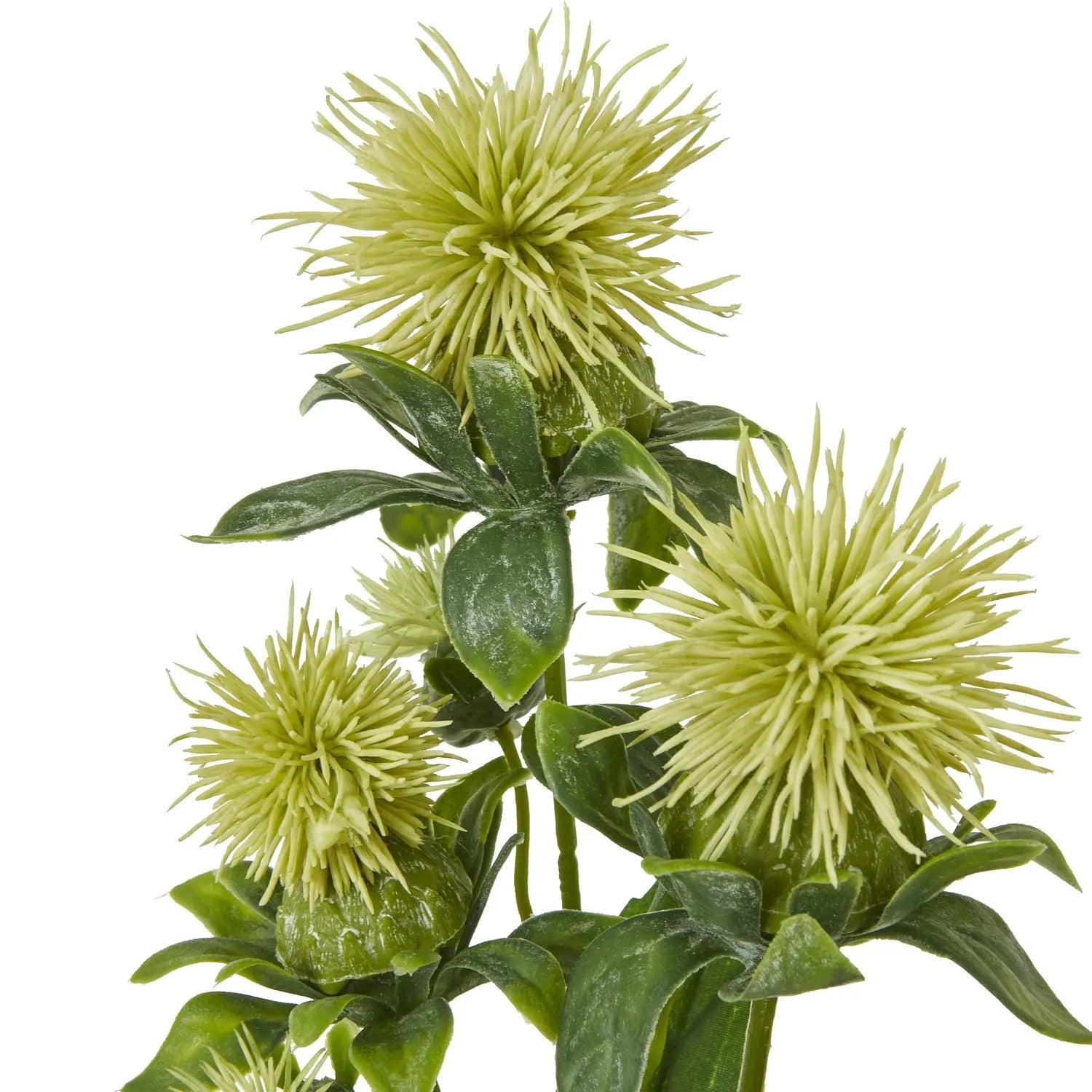 Green Safflower Spray Makur Interior