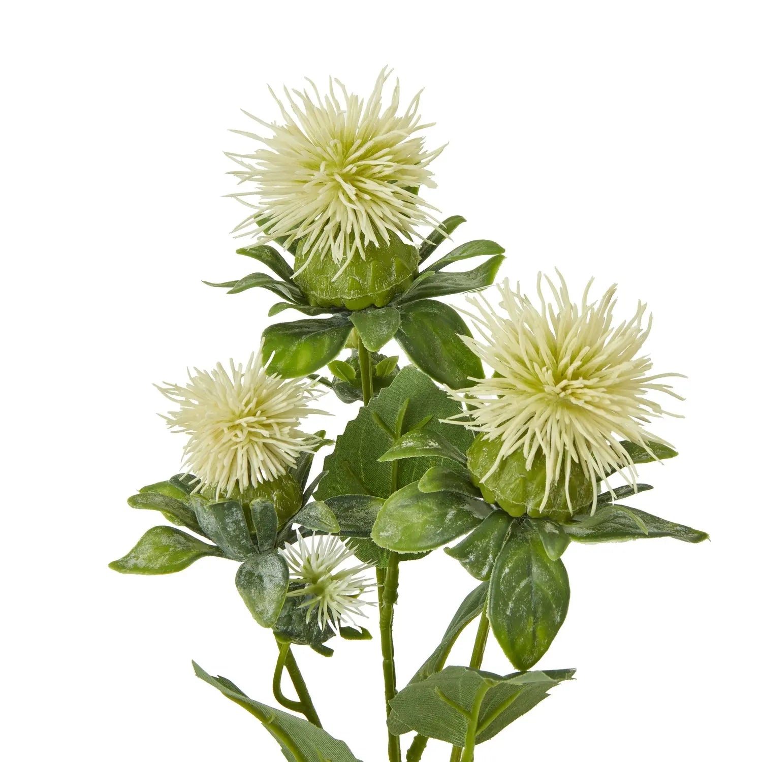 Cream Safflower Spray Makur Interior