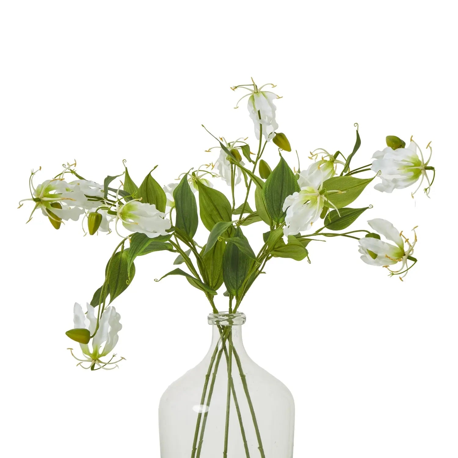 Cream Gloriosa Spray Makur Interior