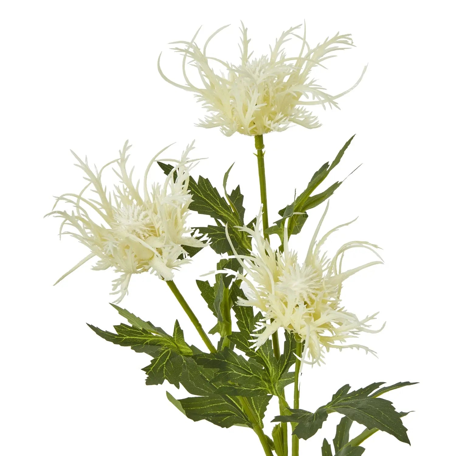 Cream Sea Holly Spray Makur Interior