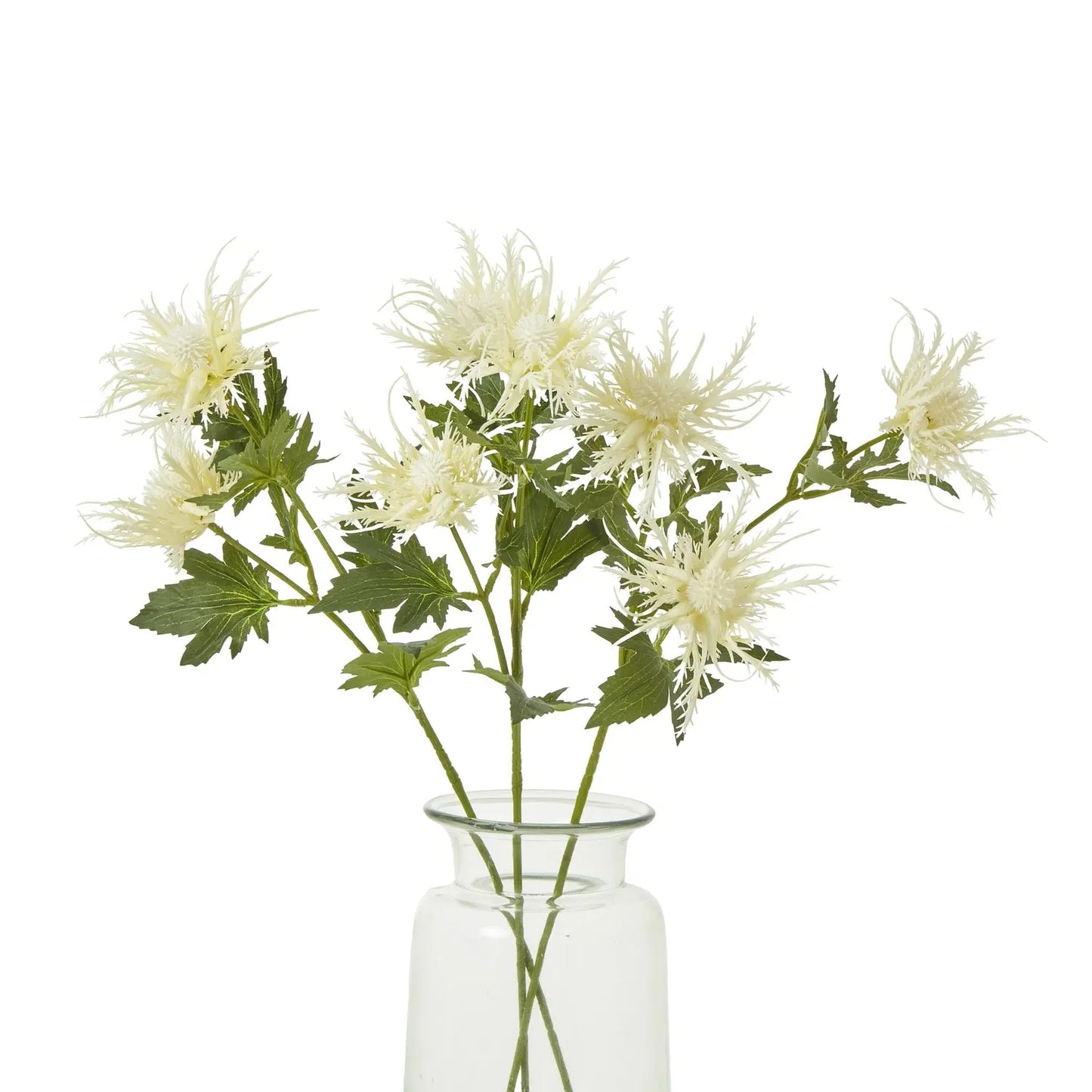 Cream Sea Holly Spray Makur Interior