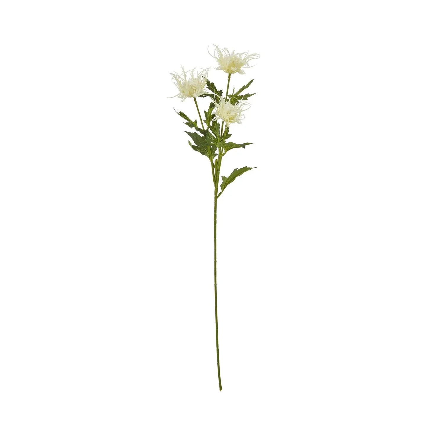 Cream Sea Holly Spray Makur Interior