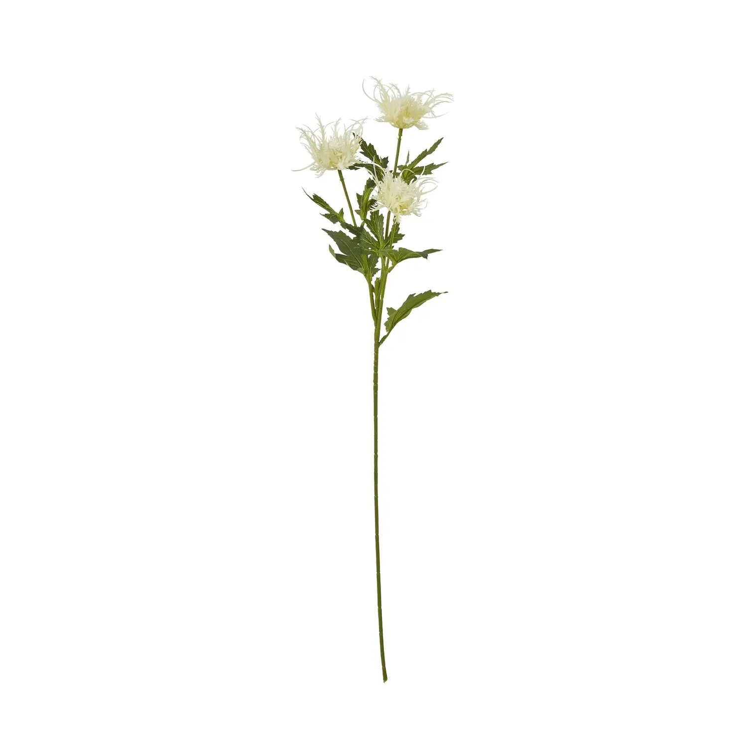 Cream Sea Holly Spray Makur Interior