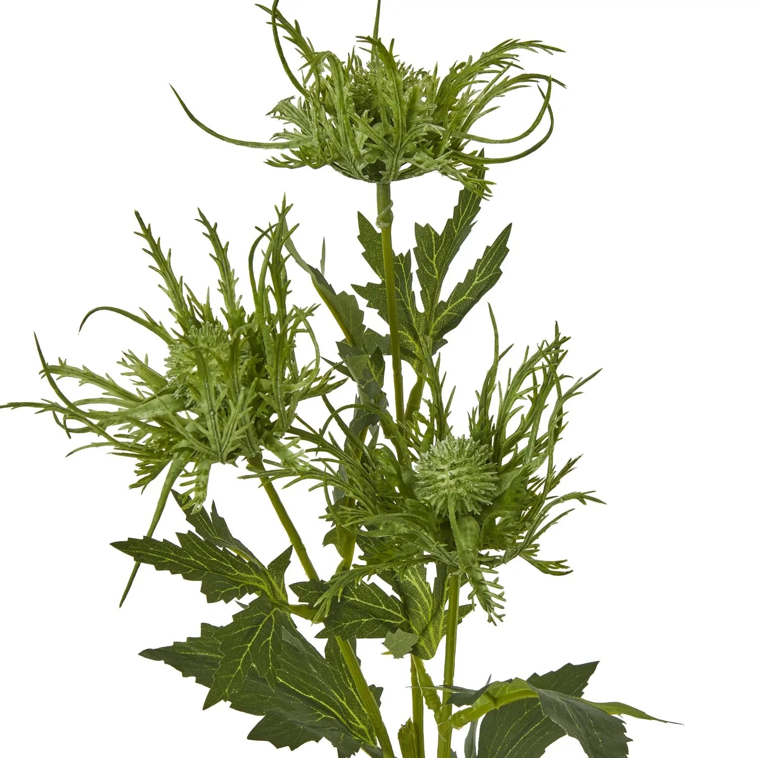 Green Sea Holly Spray Makur Interior