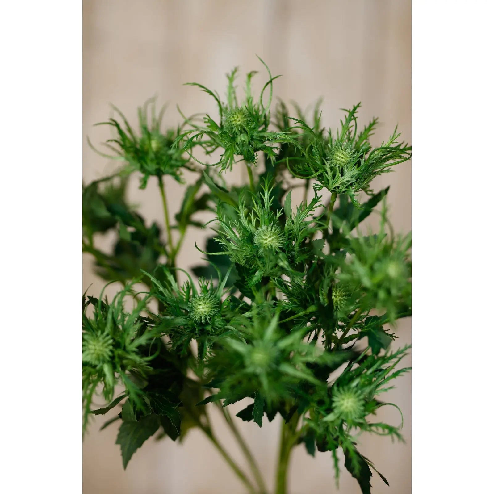 Green Sea Holly Spray Makur Interior