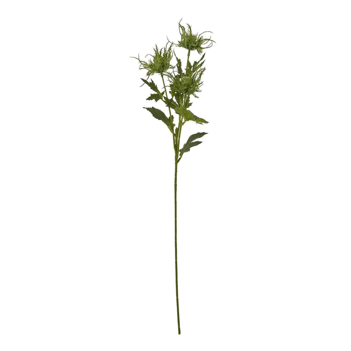 Green Sea Holly Spray Makur Interior