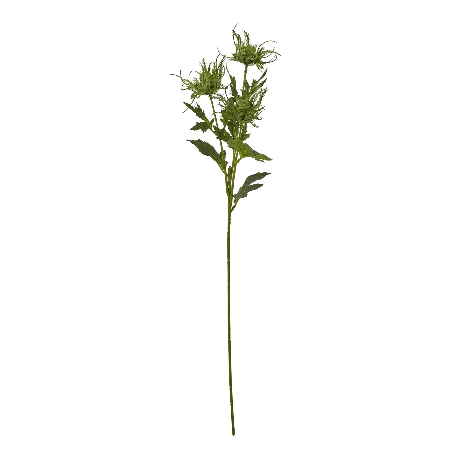 Green Sea Holly Spray Makur Interior