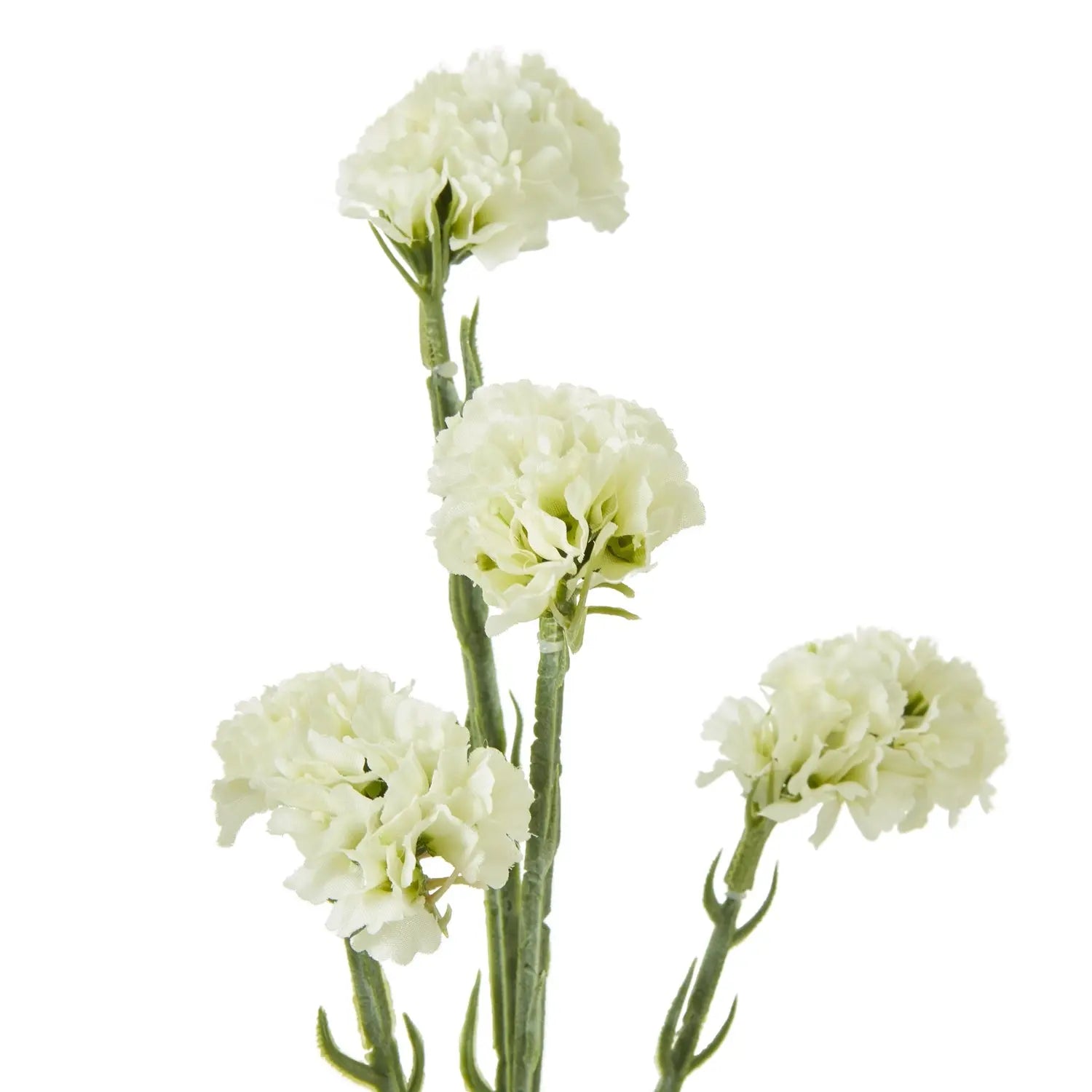 Cream Statice Spray Makur Interior