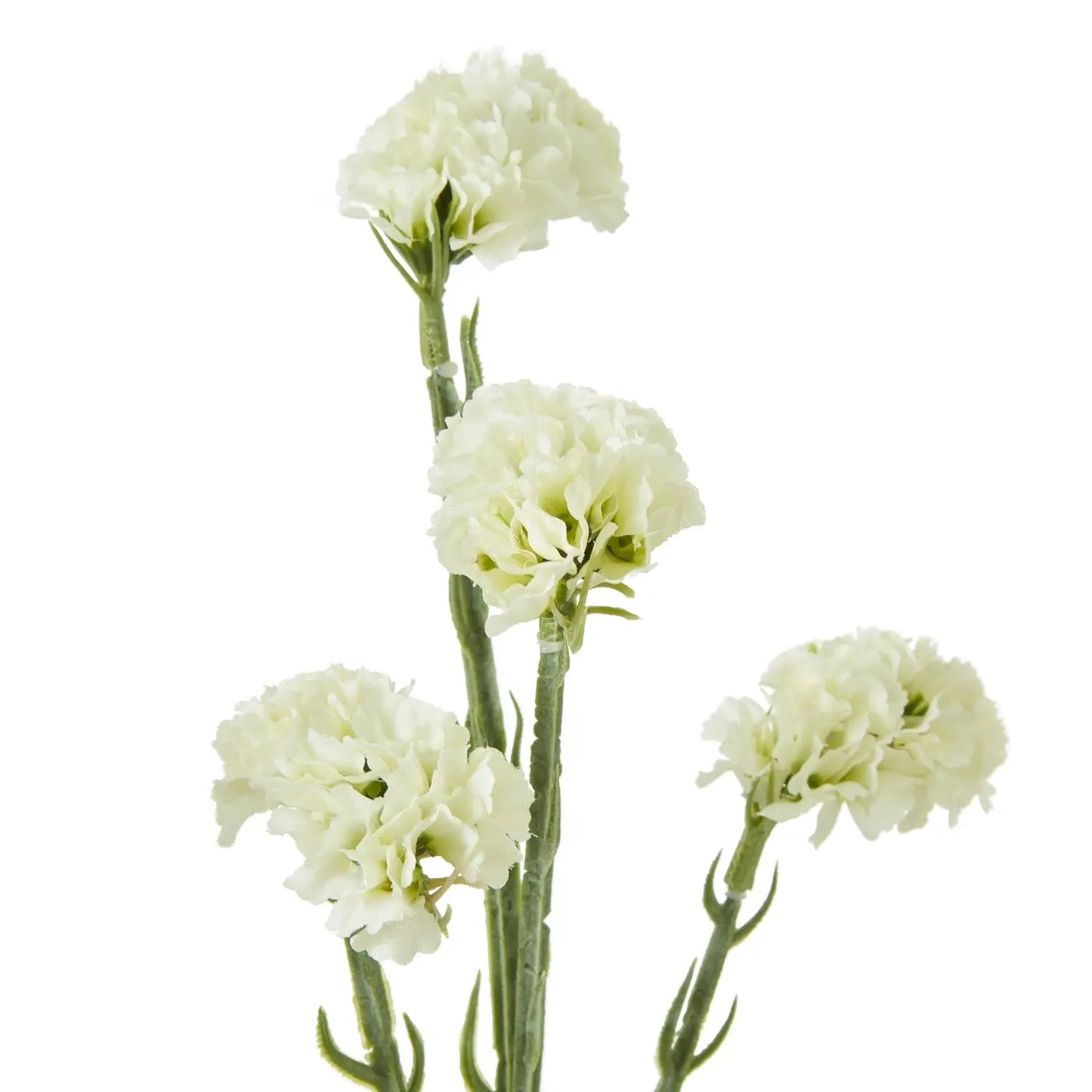 Cream Statice Spray Makur Interior
